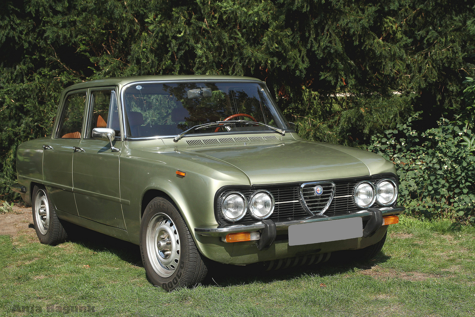 Grün vor grün: Schicker Alfa Romeo