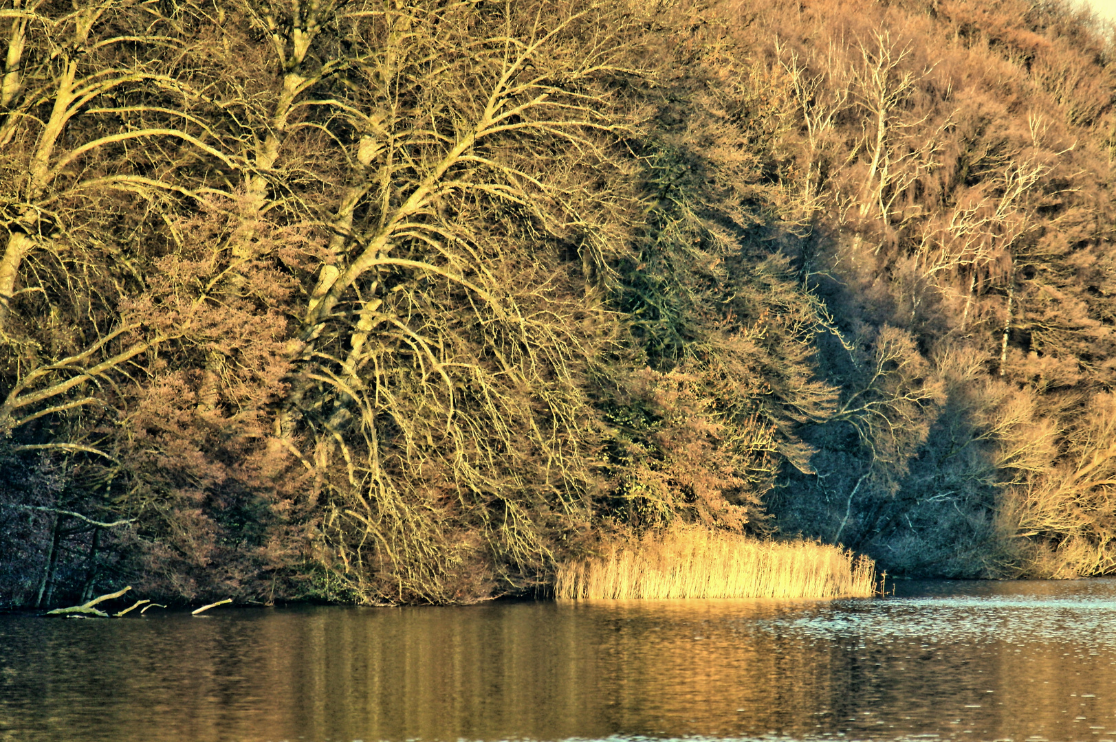 Grün vorbei - Dezembersonne am Segeberger See_2