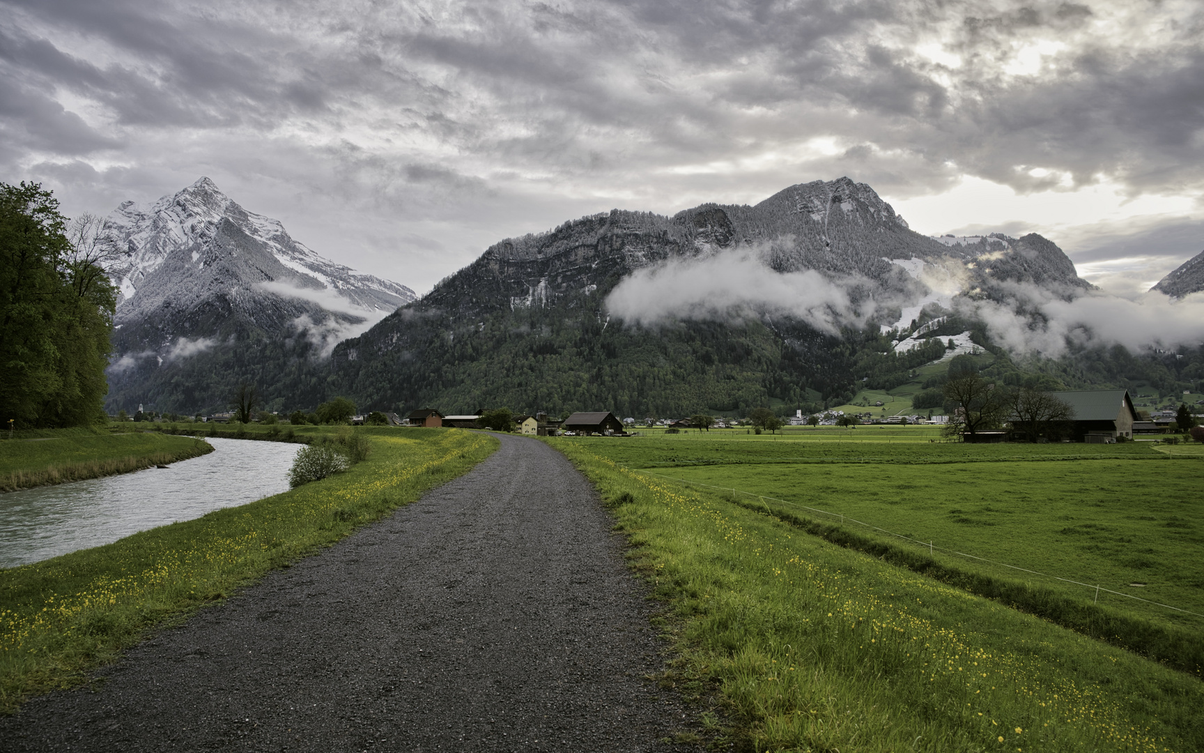 Grün-weiss