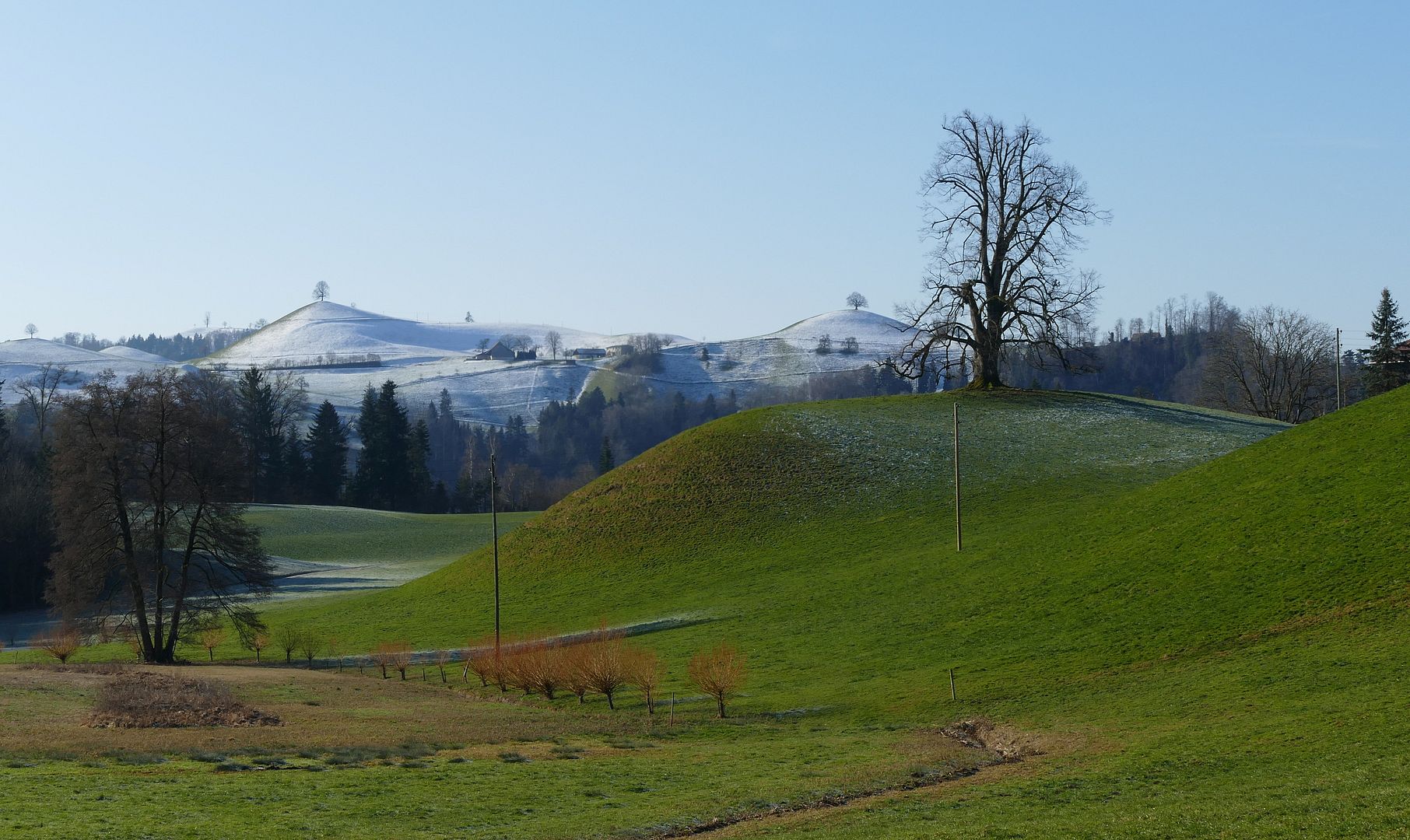 Grün-Weiß-Blau