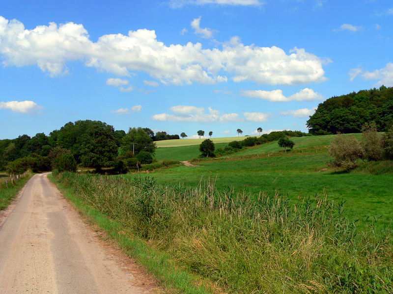 grün-weiss-blau