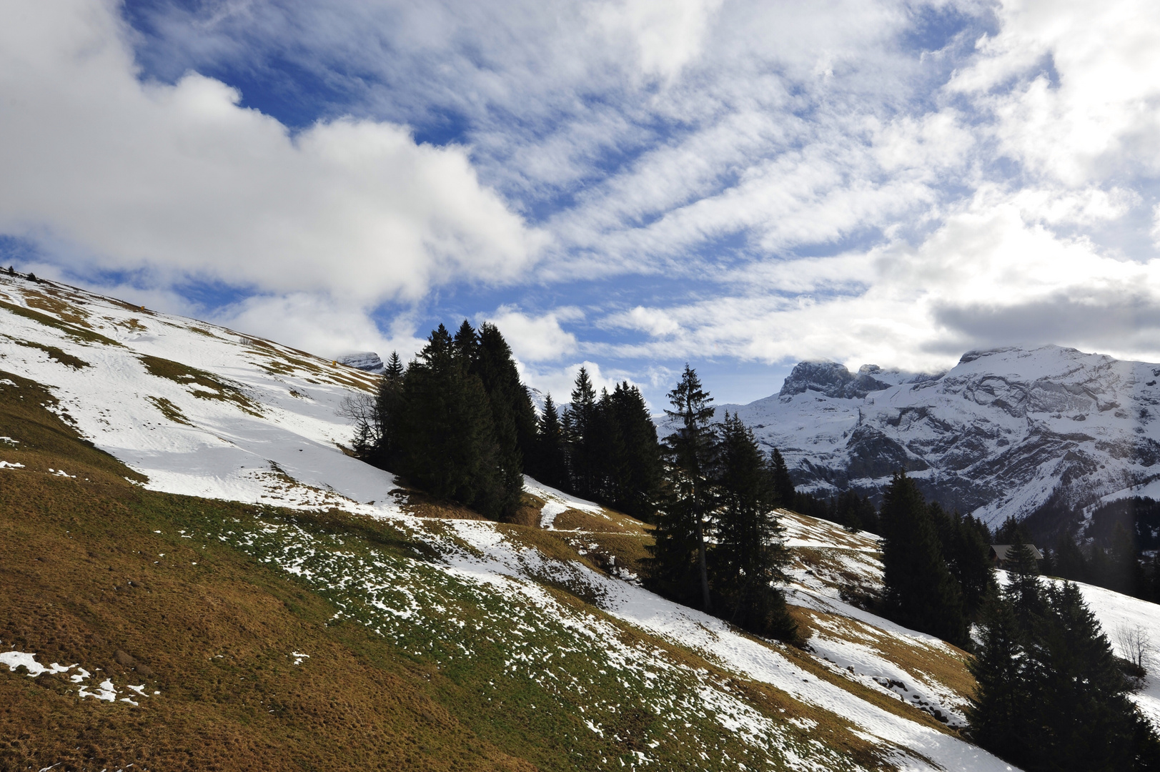 Grün weiss blau