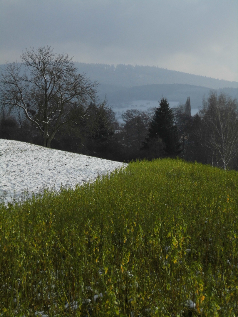 Grün weiss grauer himmel