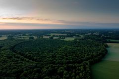 Grün wie am Amazonas