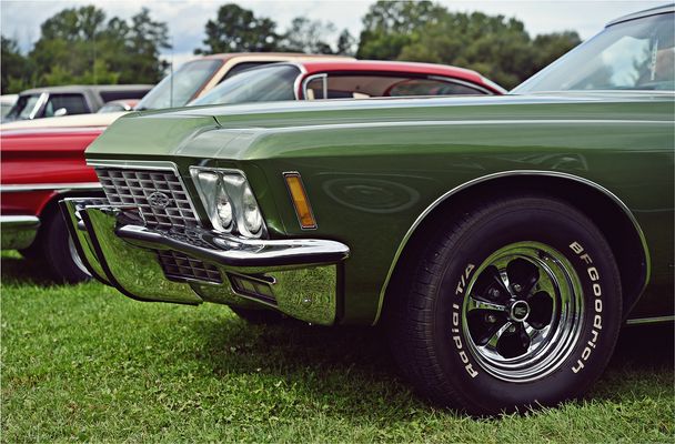 Grün wie die Hoffnung