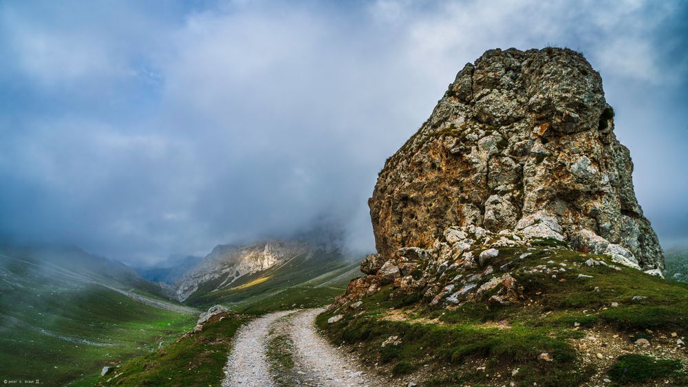 Grün, wild und einsam