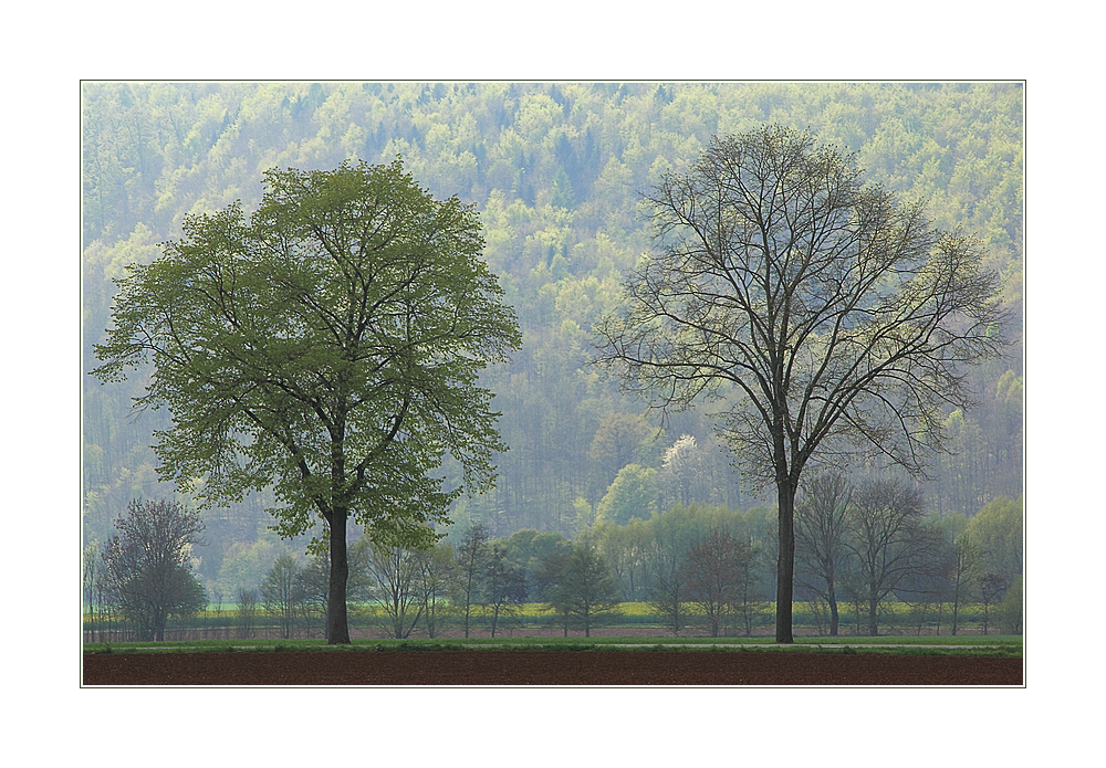 Grün: Zauber der Verwandlung...