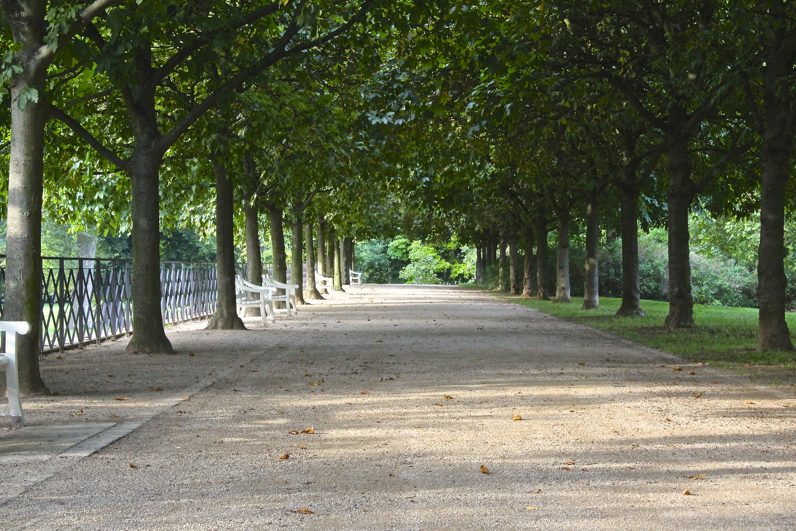 Grünanlage im Schlosspark Wiesbaden