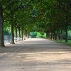 Grünanlage im Schlosspark Wiesbaden