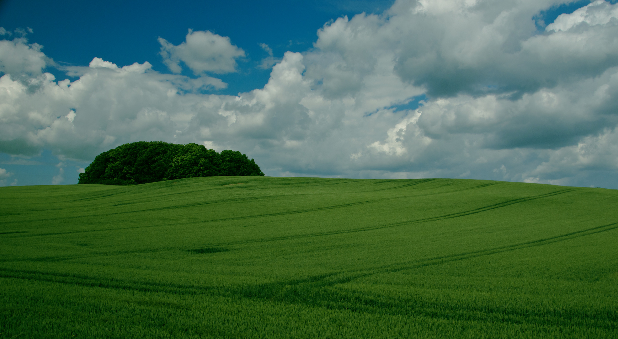 Grünblau