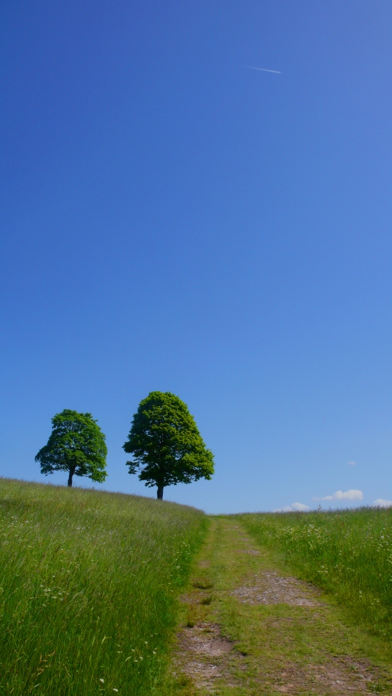 grünblau