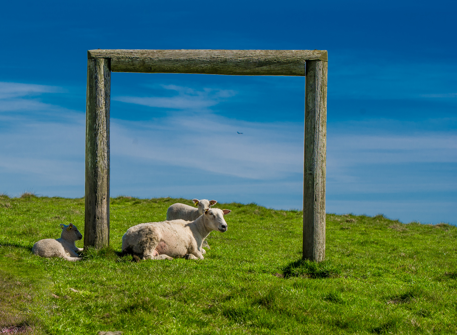 Gruenblau mit Scharf