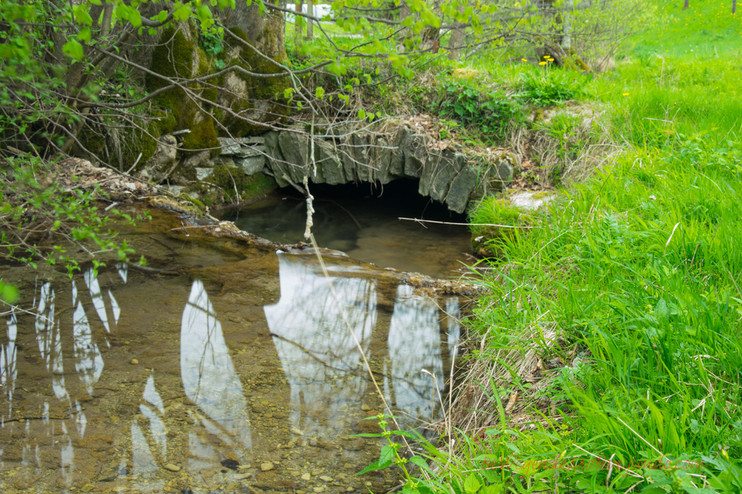 Grünbrücke