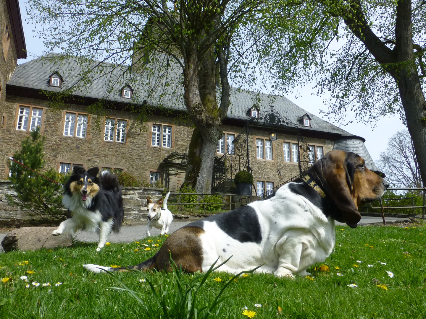 Gründonnerstagmeeting an der Burg Schnellenberg