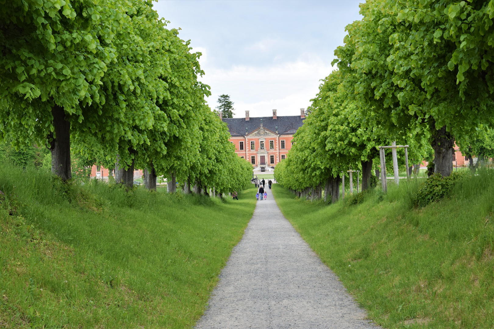 Grüne Allee