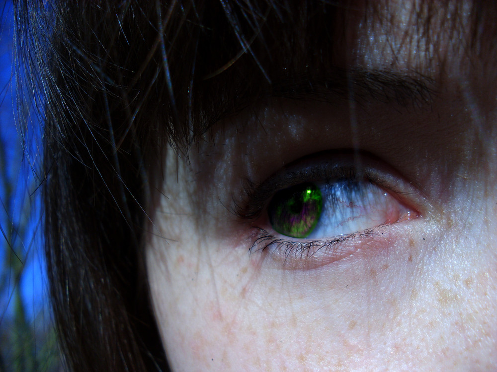 Get Gruene augen froschnatur Desktop Wallpaper Free