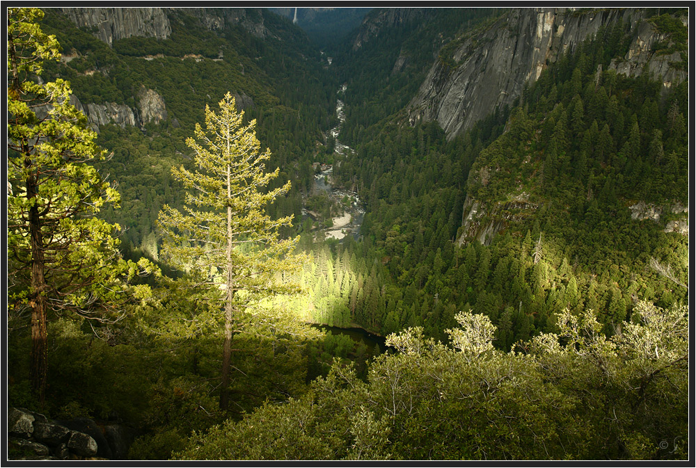 Grüne Aussicht