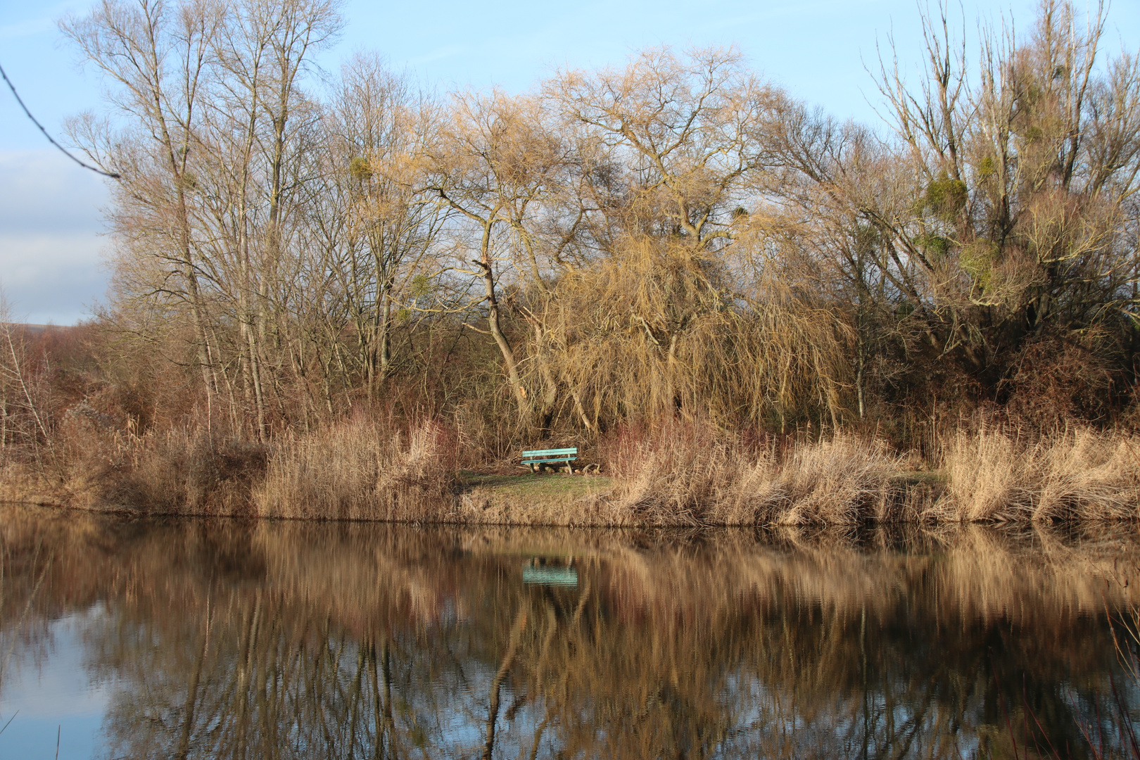 Grüne Bank Foto & Bild landschaft, bach, fluss & see, see, teich