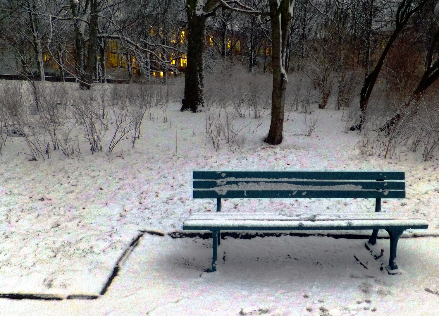 grüne Bank im Schnee Foto & Bild | landschaft, bänke in der landschaft