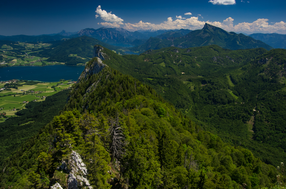 Grüne Berge