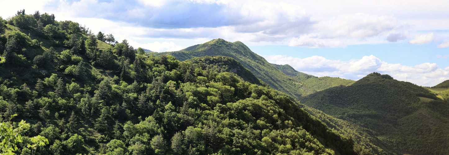 gruene Bergwelt