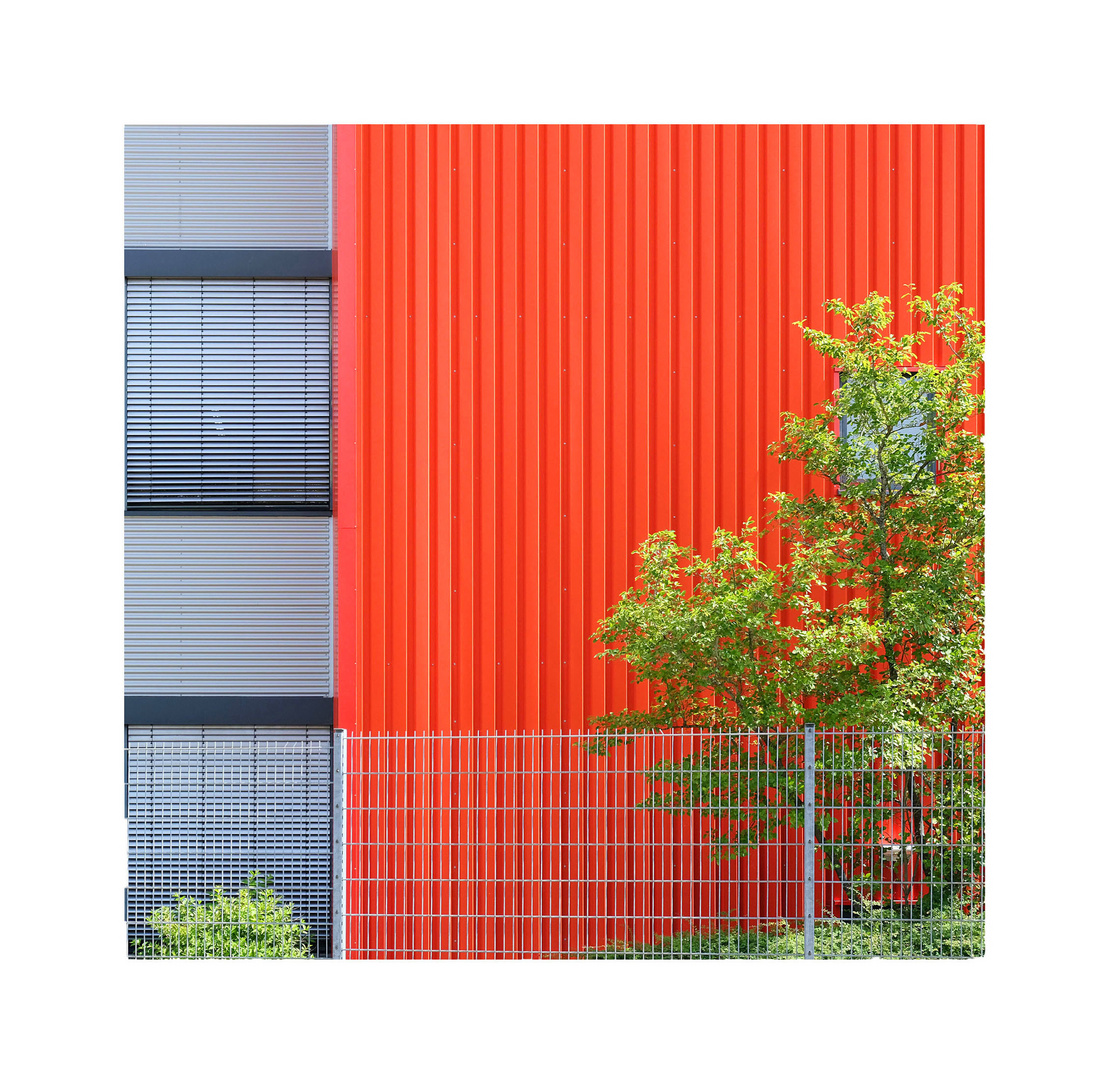 Grüne Blätter vor roter Fassade