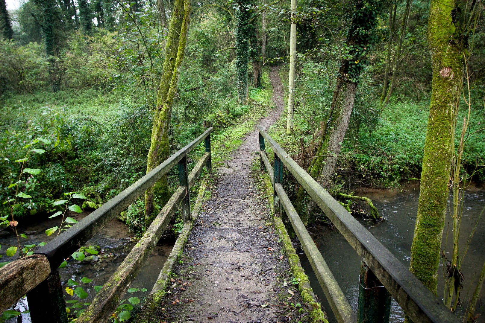 Grüne Brücke