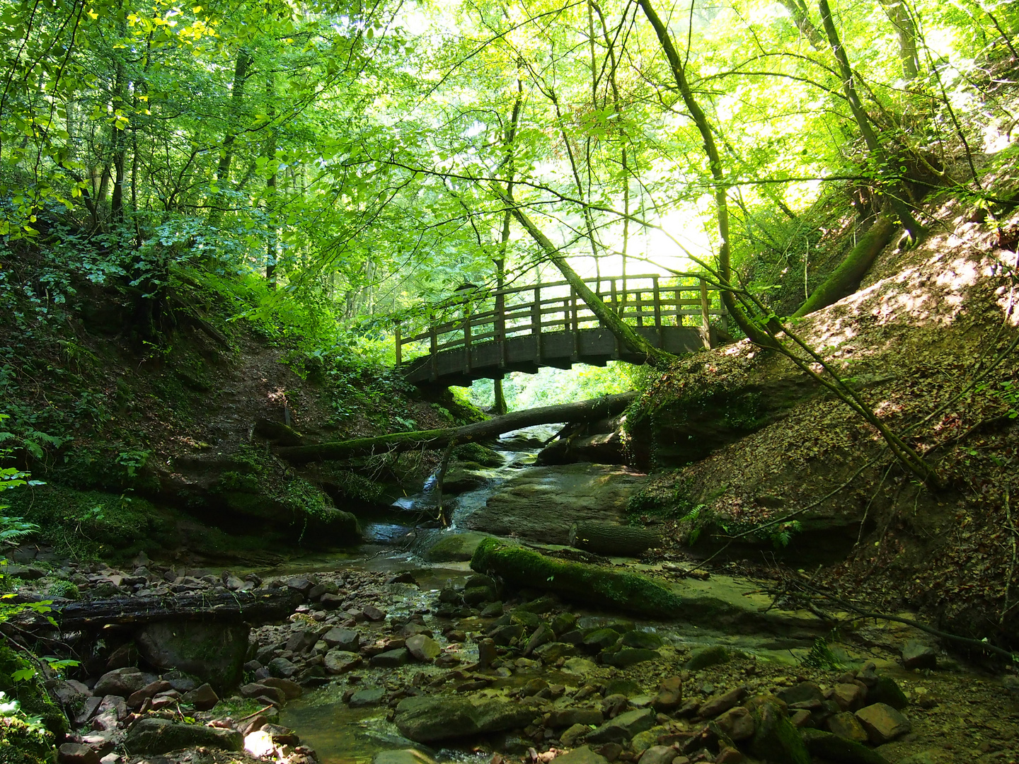 GRÜNE BRÜCKE