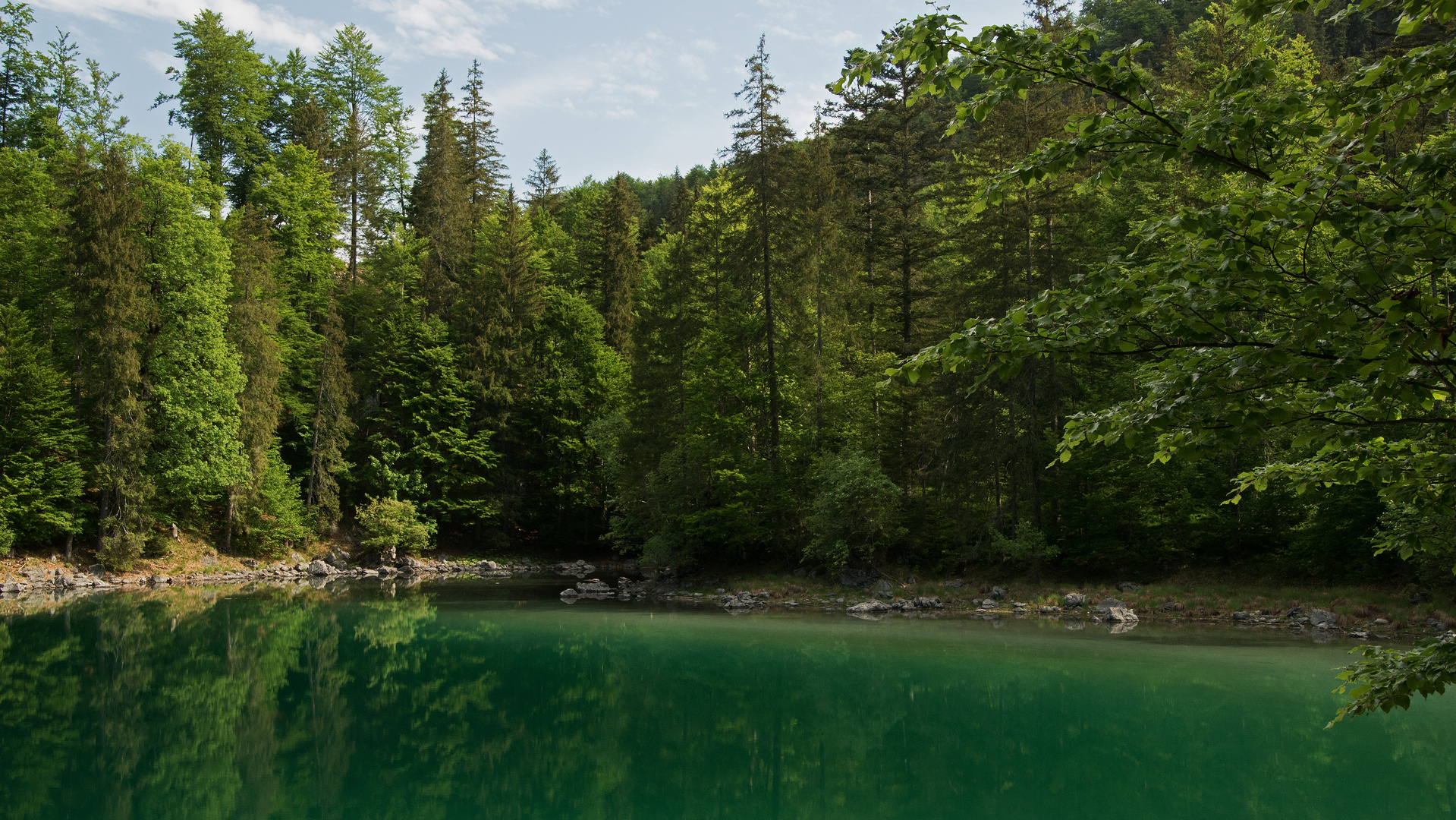 grüne Bucht 2