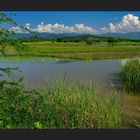 Grüne Burmesische Landschaften