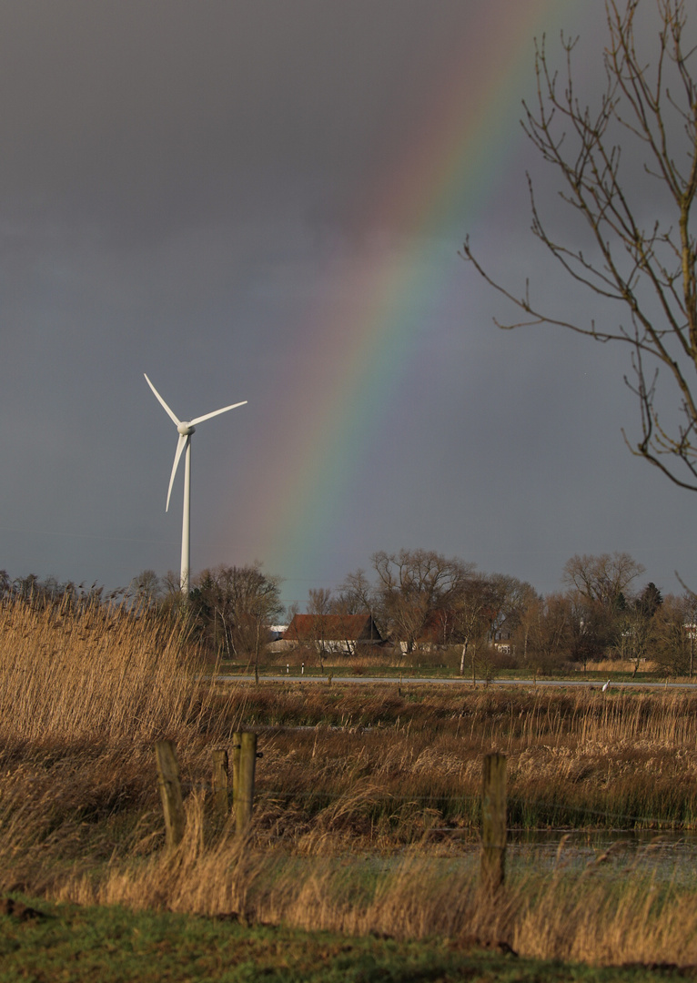 Grüne Energie