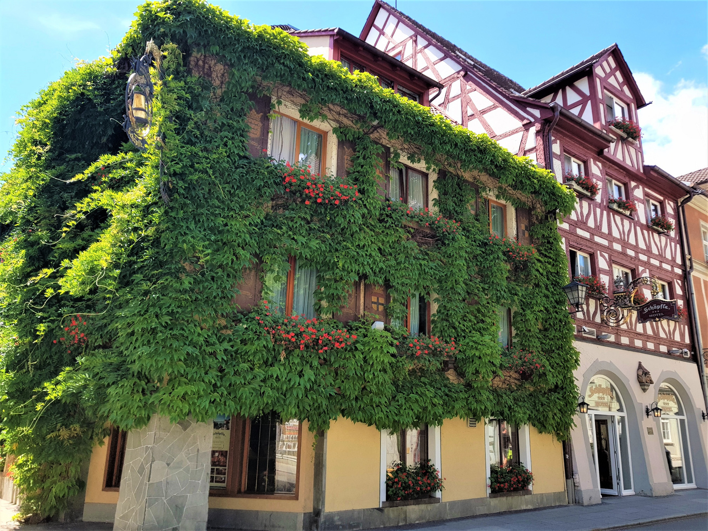 Grüne Fassade