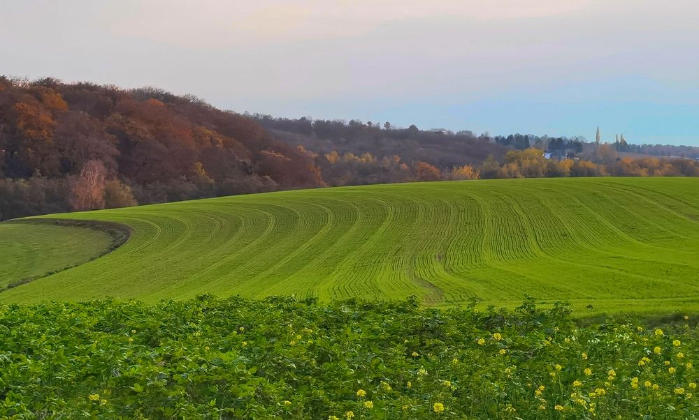 grüne Felder im Stinderbachtal zwischen Mettmann und Erkrath