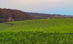 grüne Felder im Stinderbachtal zwischen Mettmann und Erkrath