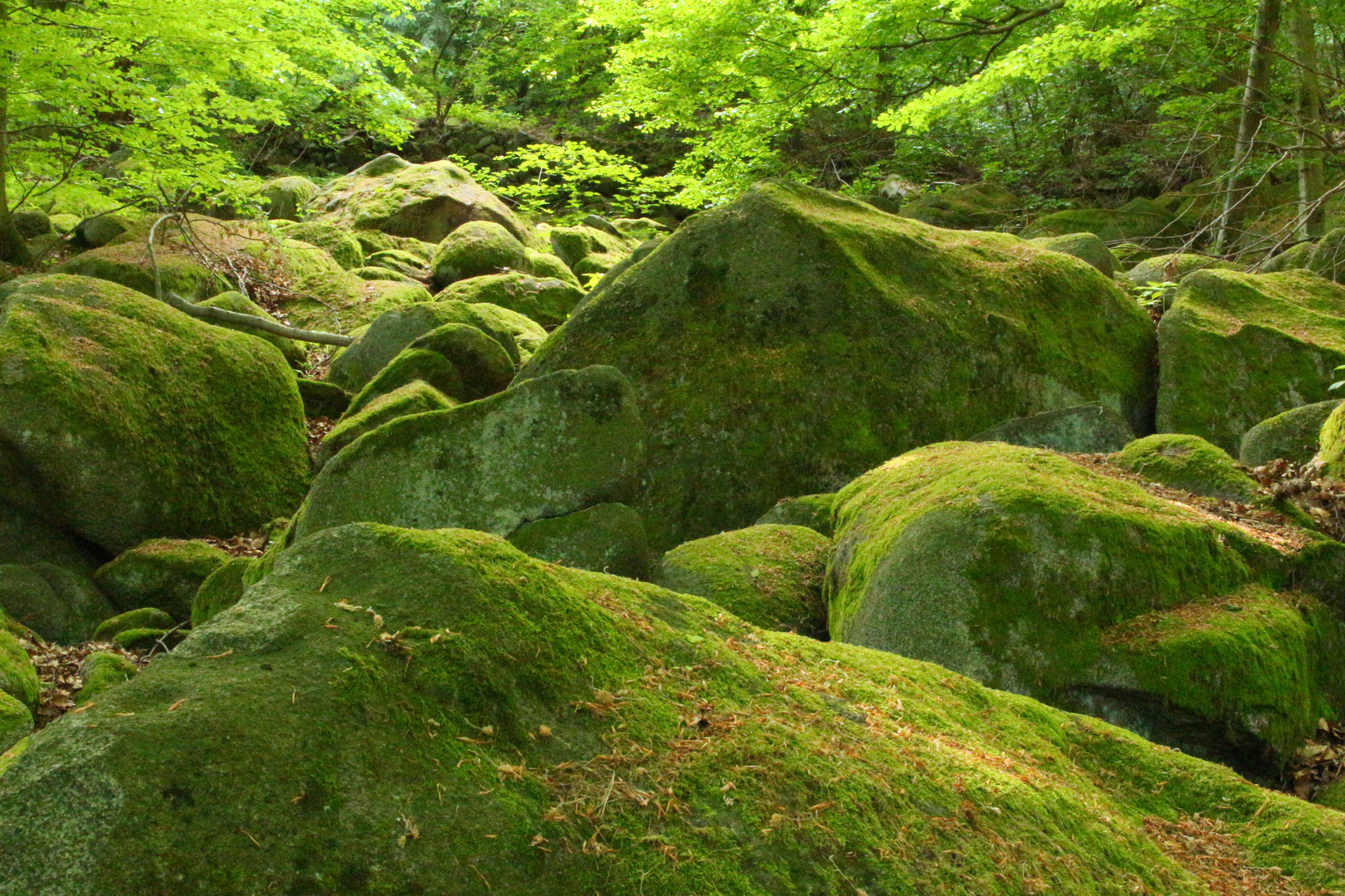 Grüne Felsen