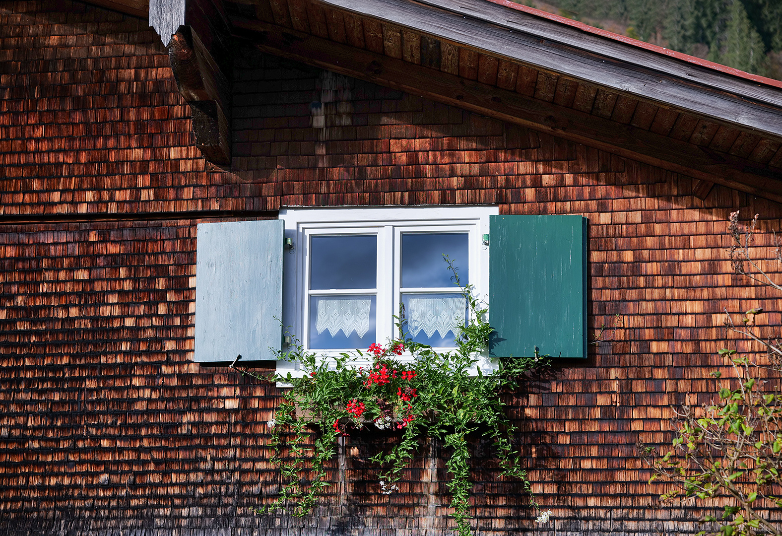 Grüne Fensterläden