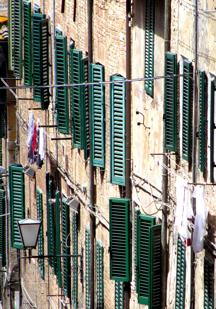 Grüne Fensterläden in Siena