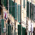 Grüne Fensterläden in Siena