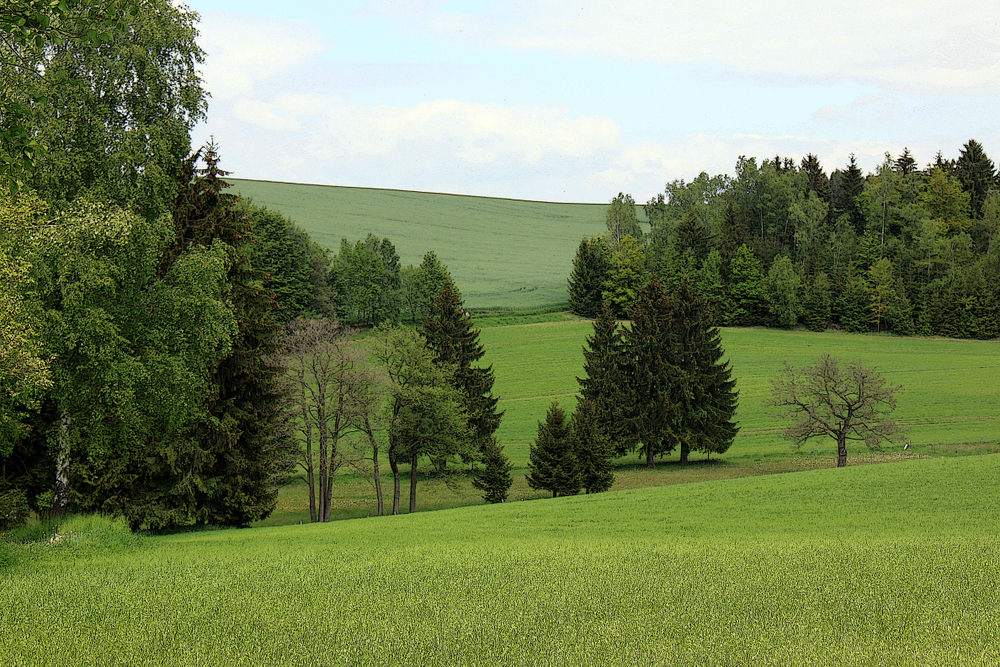 Grüne Flur (2), Tontrennung