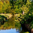 grüne Flusslandschaft.