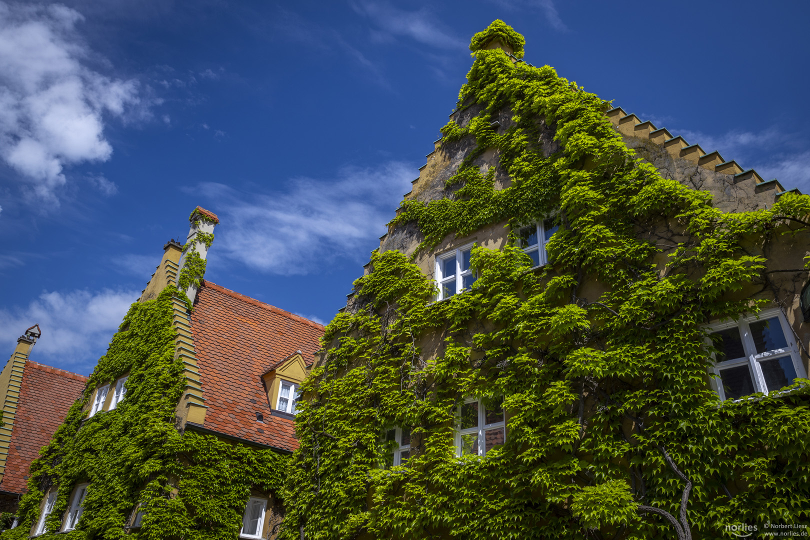 Grüne Fuggerei