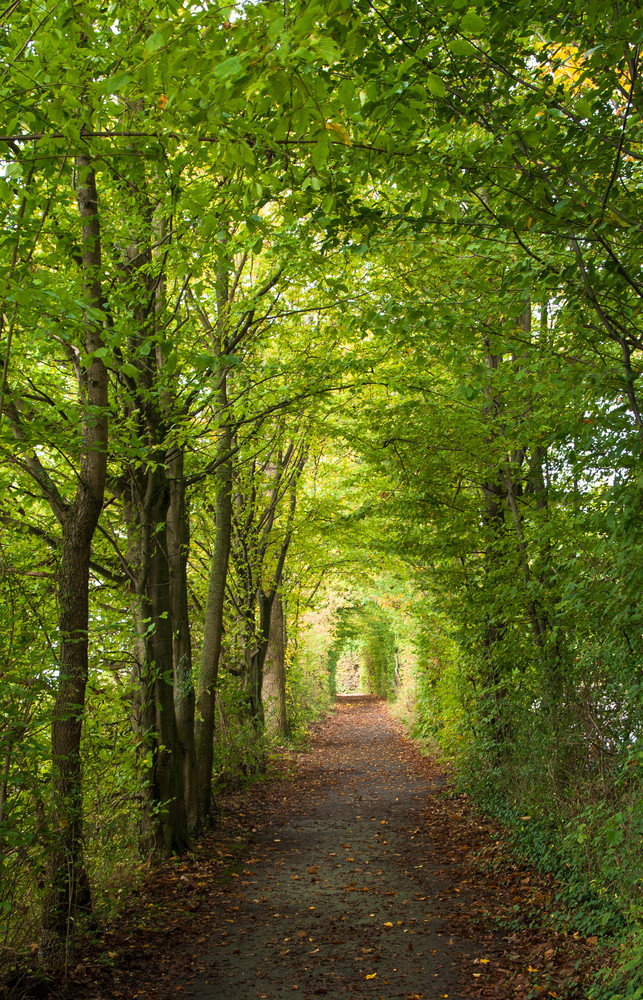 Grüne Gasse