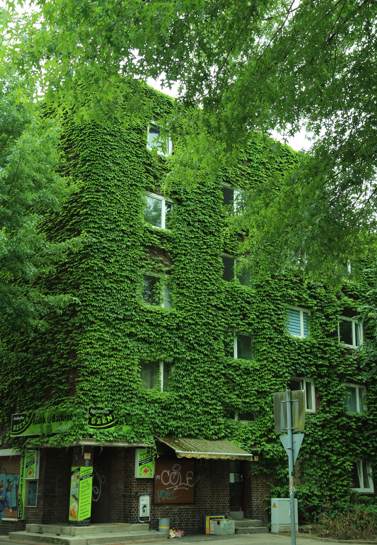 Grüne Gebäude