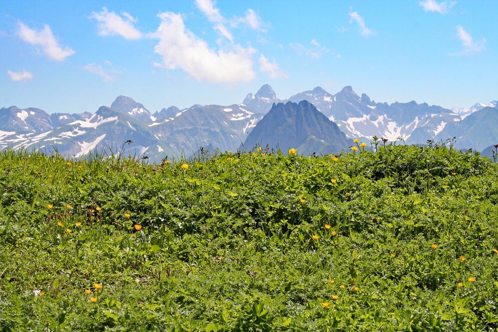 Grüne Grenze, Oberstdorf