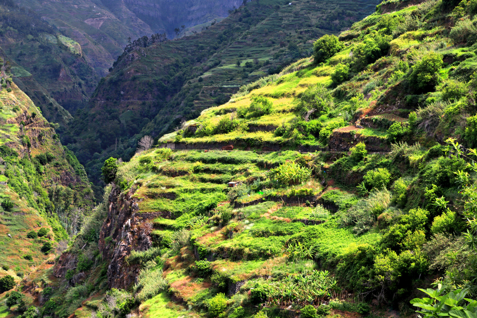 grüne Hänge auf Madeira