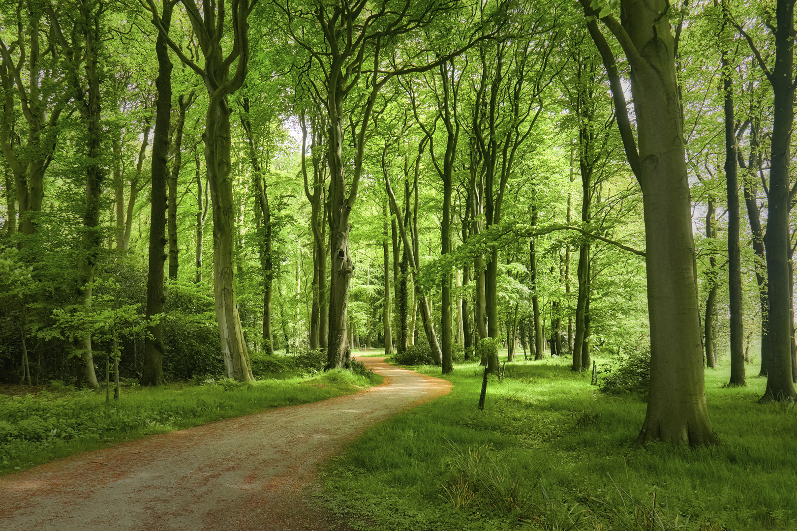 Grüne Hallen im Schlosspark Lütetsburg