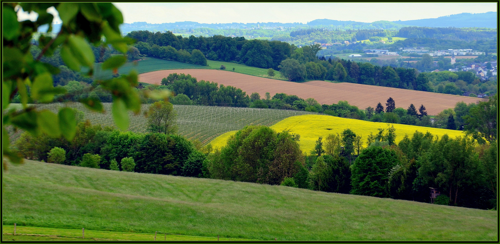 Grüne Heimat - Siebengebirge -