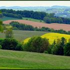 Grüne Heimat - Siebengebirge -