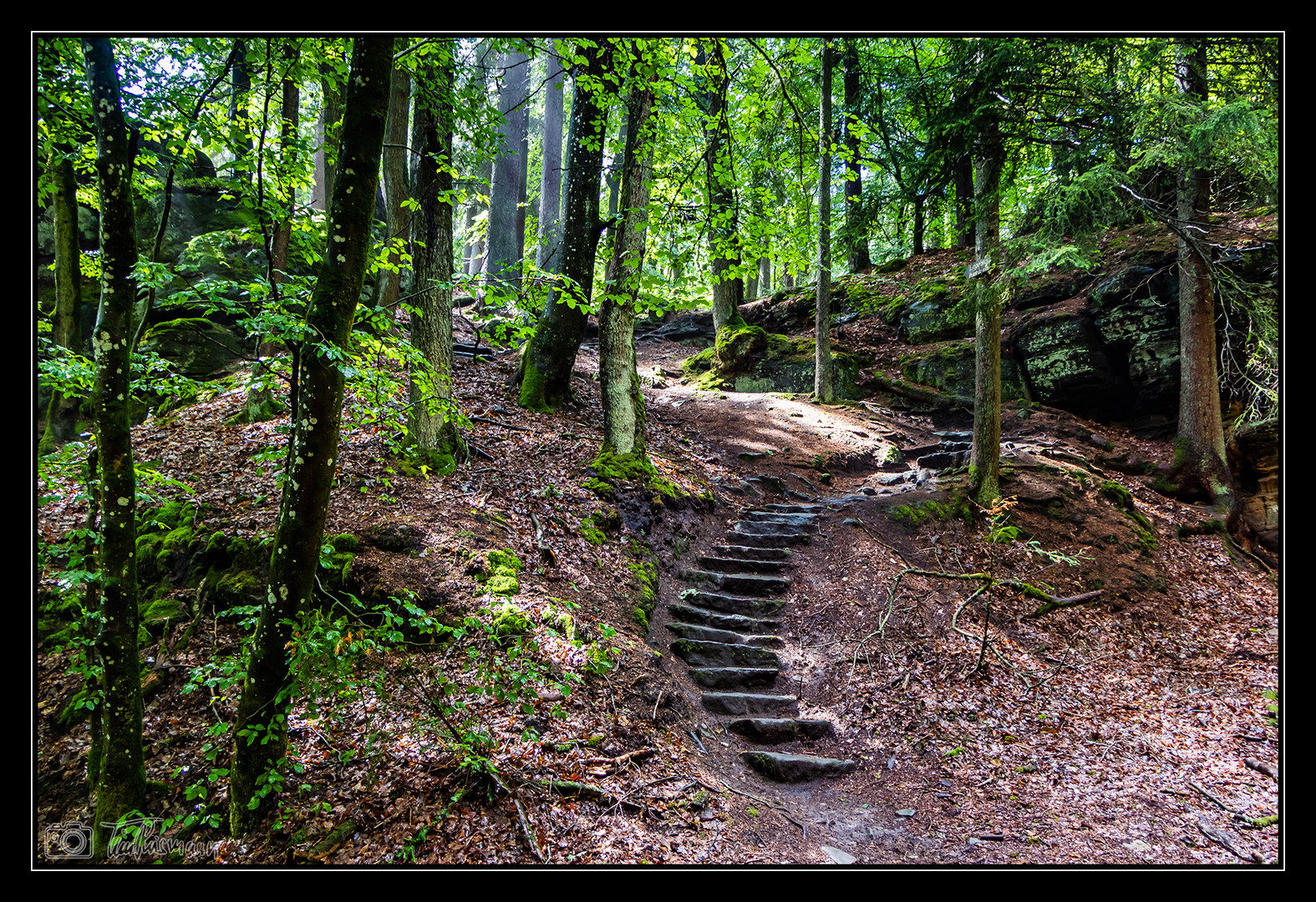 Grüne Hölle 1 Foto & Bild deutschland, europe, benelux Bilder auf