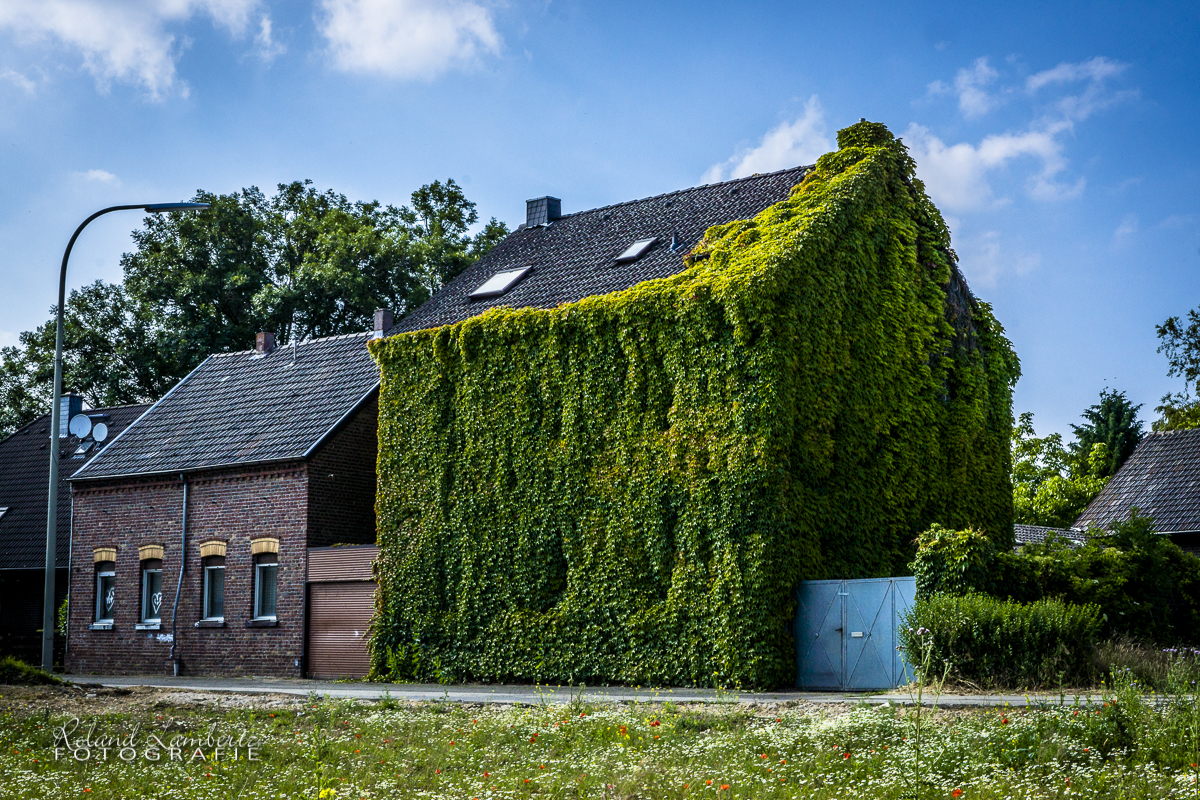 Grüne Hölle